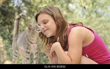 Young cat cuddling with a girl-stock-foto