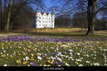 Flowering crocuses gardens of the white moated castle in Ahrensburg, Schleswig-Holstein, Germany,-stock-foto