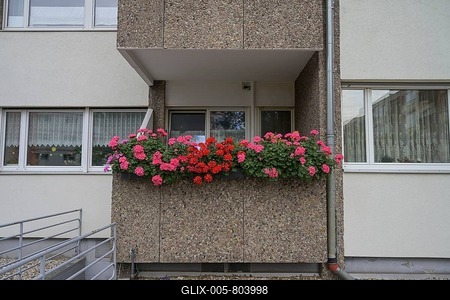 Apartment building, balcony, geraniums, Plattenbau, Löwenhardtdamm, Tempelhof, Berlin, Germany-stock-foto