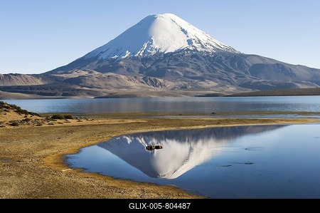 Parinacota volcano reflecting in the Chungara lake, Lauca National Park, UNESCO Biosphere Reserve, Arica and Parinacota Region, Chile, South America-stock-foto