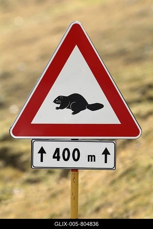 Road sign, Beware of marmots, Stilfser Joch, Stilfser Pass, National Park, Italy, Europe-stock-foto