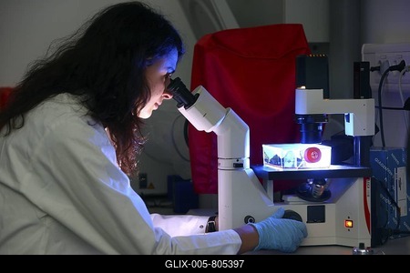Biotechnology laboratory, a scientist is examining cells of a tissue culture flask under a microscope, Centre for Medical Biotechnology of the University Duisburg-Essen, North Rhine-Westfalia, Germany, Europe-stock-foto