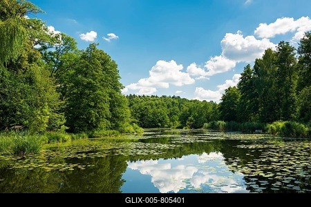 Mill Pond with Water Lilies, Grabower Mill, Schlaubetal nature park Park, Brandenburg, Germany-stock-foto