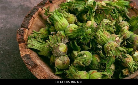 Fresh, green hazelnuts, close-up, in a wooden bowl, unpeeled, top view, no people-stock-foto