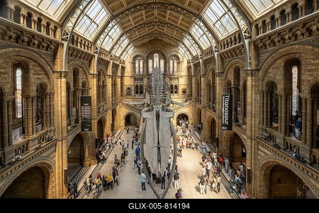 Blue whale skeleton, large entrance hall, Natural History Museum or Museum of Natural History, Kensington, London, England, United Kingdom-stock-foto