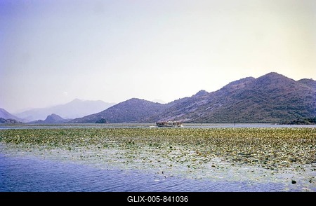 Boat trip onLake Shkodra Lake Skadar Lake Scutari, between Albania and Montenegro, former Yugoslavia, Europe 1970-stock-foto
