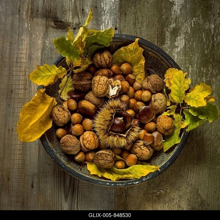 Hazelnuts, walnuts and chestnuts in a metall bowl on wooden underground, France-stock-foto