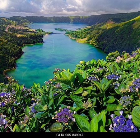Breathtaking view of the crater lakes Lagoa Verde and Lagoa Azul with blooming hydrangeas in the foreground, crater circular hiking trail, Caldeira das Sete Cidades, Miradouro da Vista do Rei, Lagoa Verde, Lagoa Azul, Sao Miguel, Portugal-stock-foto
