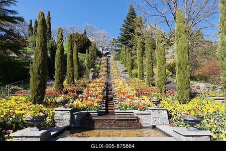 Flower stairs and bed of tulips, Mainau Island, Baden-Württemberg, Germany-stock-foto