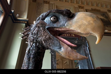 Life-size model of a terror bird Paraphysornis brasiliensis, Natural History Museum, Vienna, Austria-stock-foto