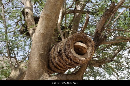 Traditional beehive in a tree, southern Ethiopia, Africa-stock-foto