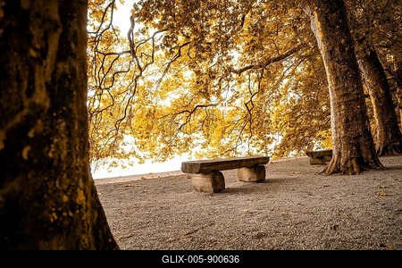 Lonely park bench under trees, golden autumn light and quiet atmosphere, Mainau Island, Lake Constance, Germany-stock-foto