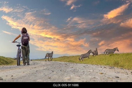 A girl on a bike next to Zebras in Naivasha in Hells Gate Park at sunset, Kenya-stock-foto