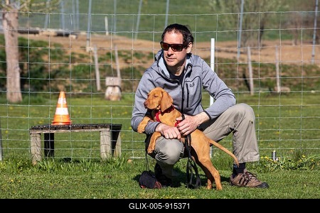 Vizsla puppy and owner in dog school, waiting for instructions, Basel-Landschaft, Switzerland-stock-foto