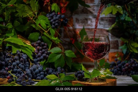 Pouring wine into glass surrounded by blue burgundy grapes in front of brick wall with leaves-stock-foto