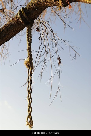 Torn hanging rope-stock-foto