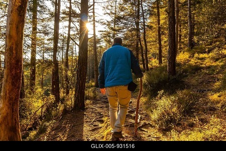 A young man in a blue jacket on a trek through the woods one afternoon at sunset. Artikutza forest in Oiartzun, Gipuzkoa. Basque Country-stock-foto
