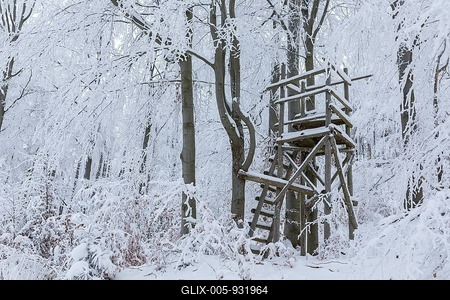 High seat in the winter forest, the trees are thickly decorated with snow and hoarfrost on the summit of the Czorneboh in Upper Lusatia, Saxony, Germany-stock-foto