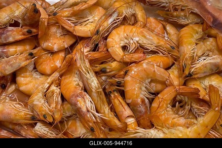 Whiteleg shrimp (litopenaeus vannamei) Whiteleg shrimp cooked imported from Ecuador on ice in refrigerated counter fish counter from fishmonger fishmonger, food trade, wholesale, fish trade, speciality shop, Germany-stock-foto