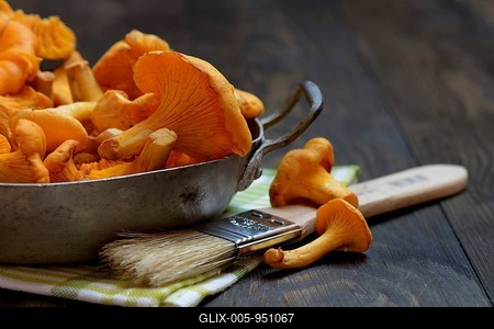 Chanterelles with brush, cleaning mushrooms-stock-foto