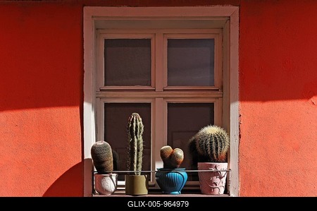Various cacti, potted plants standing outside on a window sill, Schnaittach, Middle Franconia, Bavaria, Germany, Europe-stock-foto