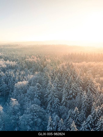 Winter forest from above at sunrise with soft light, Dobel, aerial view, Black Forest, Germany-stock-foto