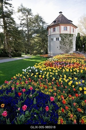 Field of flowers with tulips, Mainau Island, Baden-Wuerttemberg, Germany, Europe-stock-foto