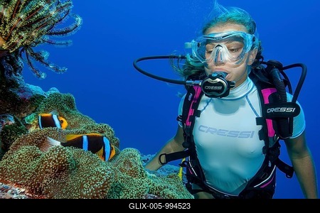 Diver looking closely at pair of orange fin clownfish (Amphiprion chrysopterus) Clownfish Nemo living in symbiosis symbiotic behaviour with mertens' carpet sea anemone (Stichodactyla mertensii) Sea anemone, Pacific Ocean, Caroline Islands, Yap Island, Yap State, Federated States of Micronesia-stock-foto