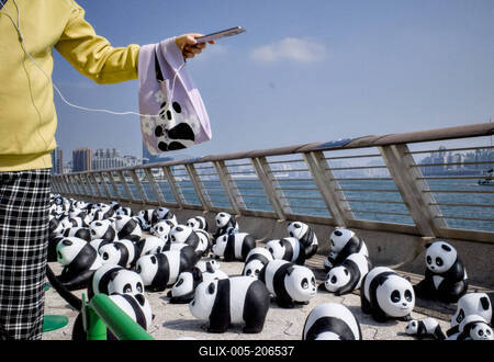 News BIlder des Tages HONG KONG, CHINA - DECEMBER 07: Thousands of giant panda sculptures are displayed at the Avenue of-stock-foto