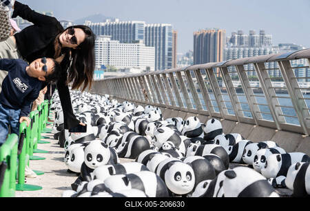 HONG KONG, CHINA - DECEMBER 07: Thousands of giant panda sculptures are displayed at the Avenue of Stars in Tsim Sha Tsu-stock-foto