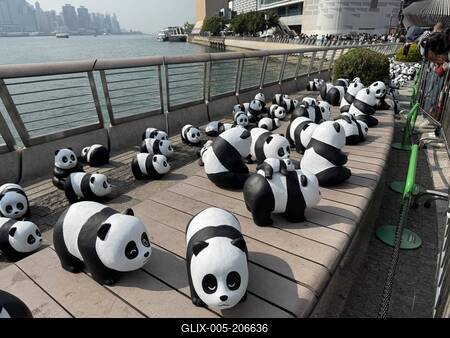 HONG KONG, CHINA - DECEMBER 07: Thousands of giant panda sculptures are displayed at the Avenue of Stars in Tsim Sha Tsu-stock-foto