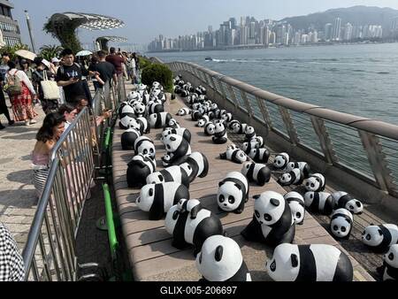 HONG KONG, CHINA - DECEMBER 07: Thousands of giant panda sculptures are displayed at the Avenue of Stars in Tsim Sha Tsu-stock-foto