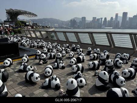 HONG KONG, CHINA - DECEMBER 07: Thousands of giant panda sculptures are displayed at the Avenue of Stars in Tsim Sha Tsu-stock-foto