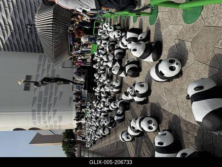 HONG KONG, CHINA - DECEMBER 07: Thousands of giant panda sculptures are displayed at the Avenue of Stars in Tsim Sha Tsu-stock-foto