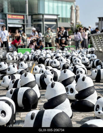 HONG KONG, CHINA - DECEMBER 07: Thousands of giant panda sculptures are displayed at the Avenue of Stars in Tsim Sha Tsu-stock-foto