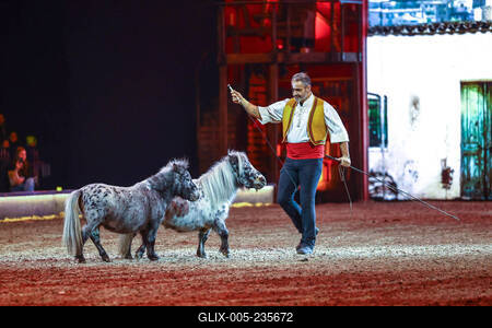 Cavallun - Grand Moments-stock-foto