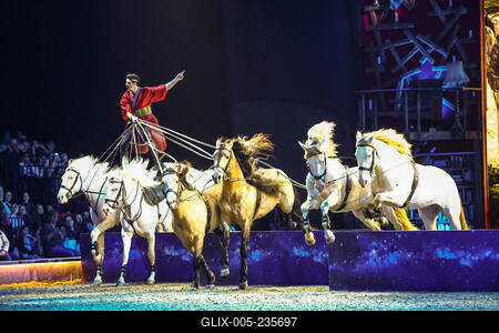 Cavallun - Grand Moments-stock-foto