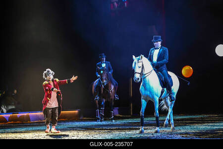 Cavallun - Grand Moments-stock-foto