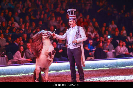 Cavallun - Grand Moments-stock-foto