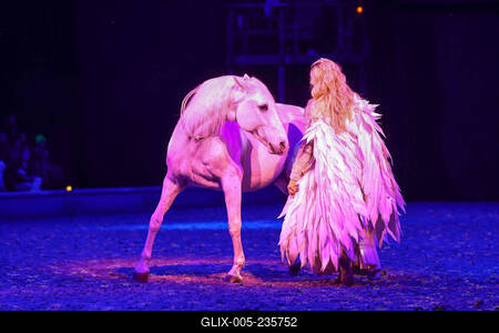 Cavallun - Grand Moments-stock-foto