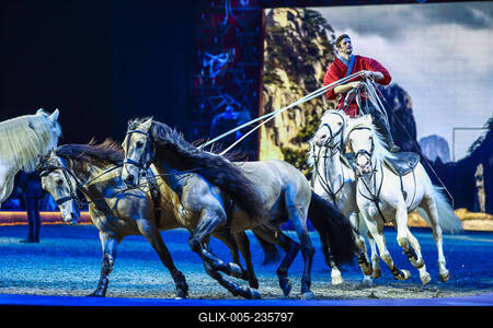 Cavallun - Grand Moments-stock-foto