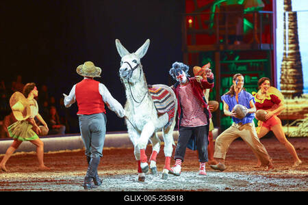 Cavallun - Grand Moments-stock-foto