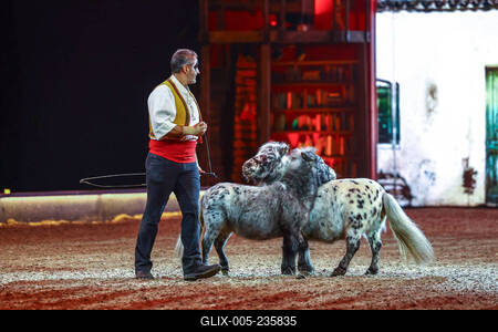 Cavallun - Grand Moments-stock-foto