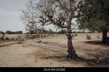  Sudanese refugees in Chad - 21/06/2024 - chad / ? Adre ? - A dry river in the area around the town of Koufroun. Sudane-stock-foto