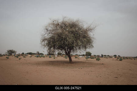  Sudanese refugees in Chad - 18/06/2024 - chad / ? Adre ? - Sudanese refugees in Chad PUBLICATIONxNOTxINxFRAxRUS Adrien-stock-foto
