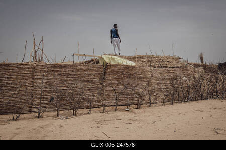  Sudanese refugees in Chad - 21/06/2024 - chad / ? Adre ? - A Sudanese refugee builds a shelter in an informal camp in-stock-foto