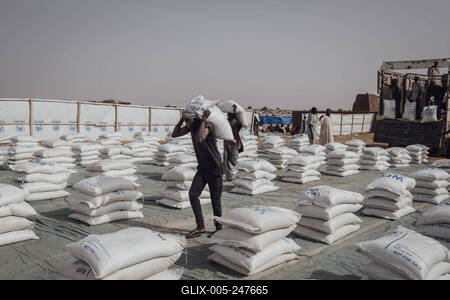  Sudanese refugees in Chad - 24/06/2024 - chad / ? Adre ? - Dockworkers unload UNHCR 50kg bags of rice for Sudanese ref-stock-foto