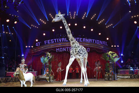 3eme Spectacle de sélection du 47eme Festival International du cirque de Monte Carlo-stock-foto