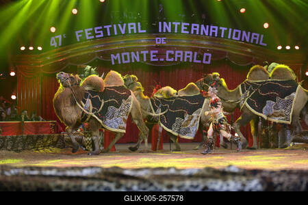 3eme Spectacle de sélection du 47eme Festival International du cirque de Monte Carlo-stock-foto