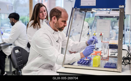 Prince William in Guildford-stock-foto